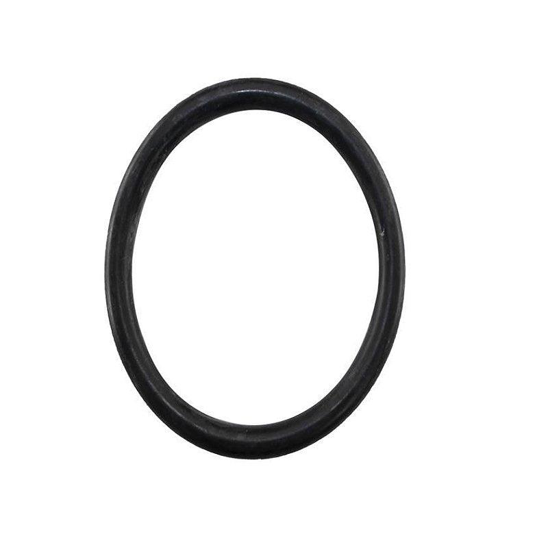 Junta Anel Vedação Bomba Água Gol Parati Saveiro Motor Ap - Paraiso das Mangueiras