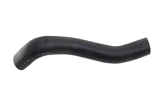 Mangueira Ar Quente Daily Cv 125 500341826 - Paraiso das Mangueiras