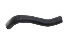 Mangueira Ar Quente Daily Cv 125 500341826 - Paraiso das Mangueiras