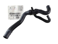 Mangueira Inferior Radiador 308 408 C4 Lounge 2.0 - Paraiso das Mangueiras