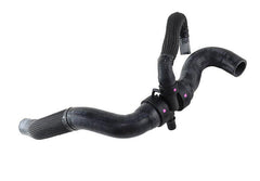 Mangueira Inferior Radiador 308 408 C4 Lounge 2.0 - Paraiso das Mangueiras