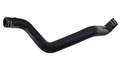 Mangueira Inferior Radiador Ducato 2.5 2.8 1998/... - Paraiso das Mangueiras