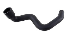 Mangueira Inferior Radiador F11000 F12000 13000 BD8T8286A - Paraiso das Mangueiras