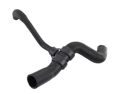 Mangueira Inferior Radiador Ford Focus Zetec 1.8 2.0 1134563 - Paraiso das Mangueiras