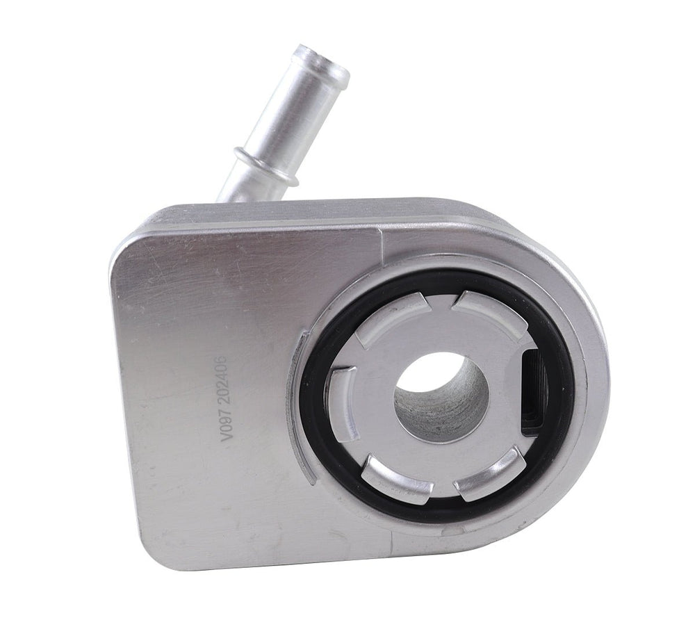 Resfriador Radiador Óleo Ford Focus New Fiesta 1.6 16v Sigma - Paraiso das Mangueiras