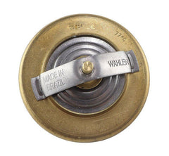 Válvula Termostática Agrale 1000 2070 4203 70998030 - Paraiso das Mangueiras