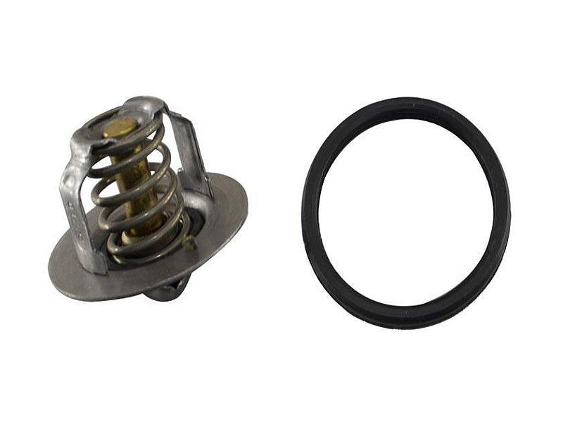 Válvula Termostática Creta Soul Tucson Creta 1.6 16V - Paraiso das Mangueiras