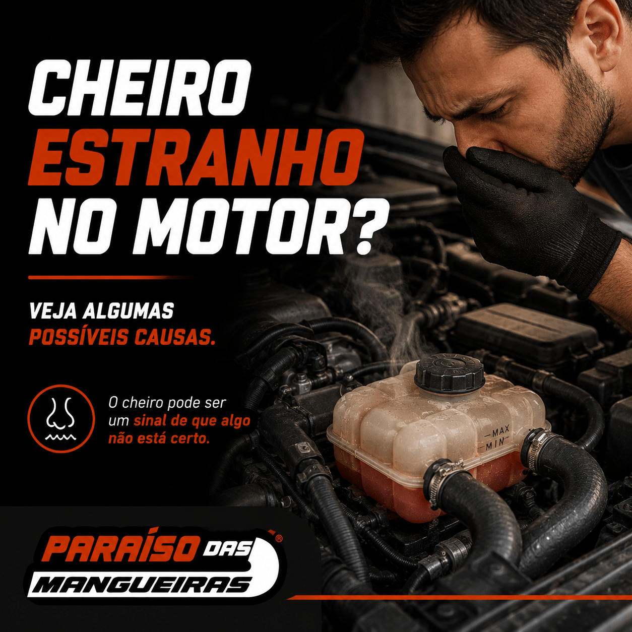 Cheiro Estranho no Motor? Veja Algumas Possíveis Causas - Paraiso das Mangueiras