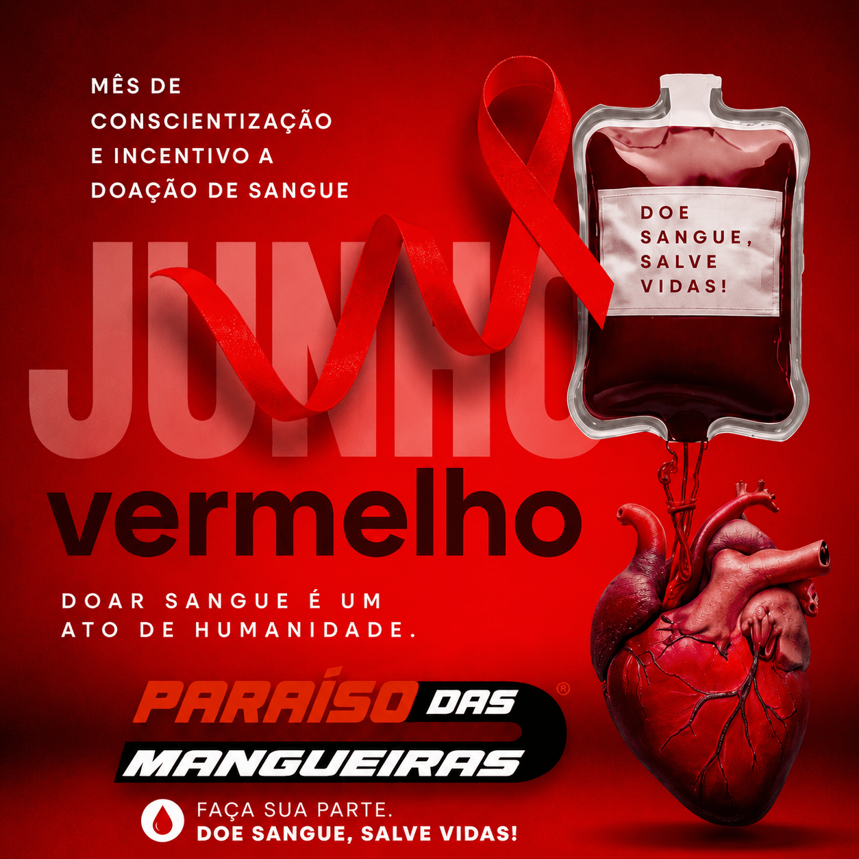 Dia Mundial da Doação de Sangue: Pequenos Gestos Que Salvam Vidas - Paraiso das Mangueiras