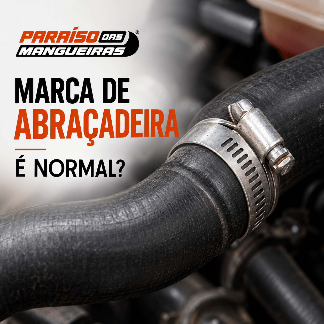 Mangueira com Marca de Abraçadeira: É Normal ou Sinal de Problema? - Paraiso das Mangueiras