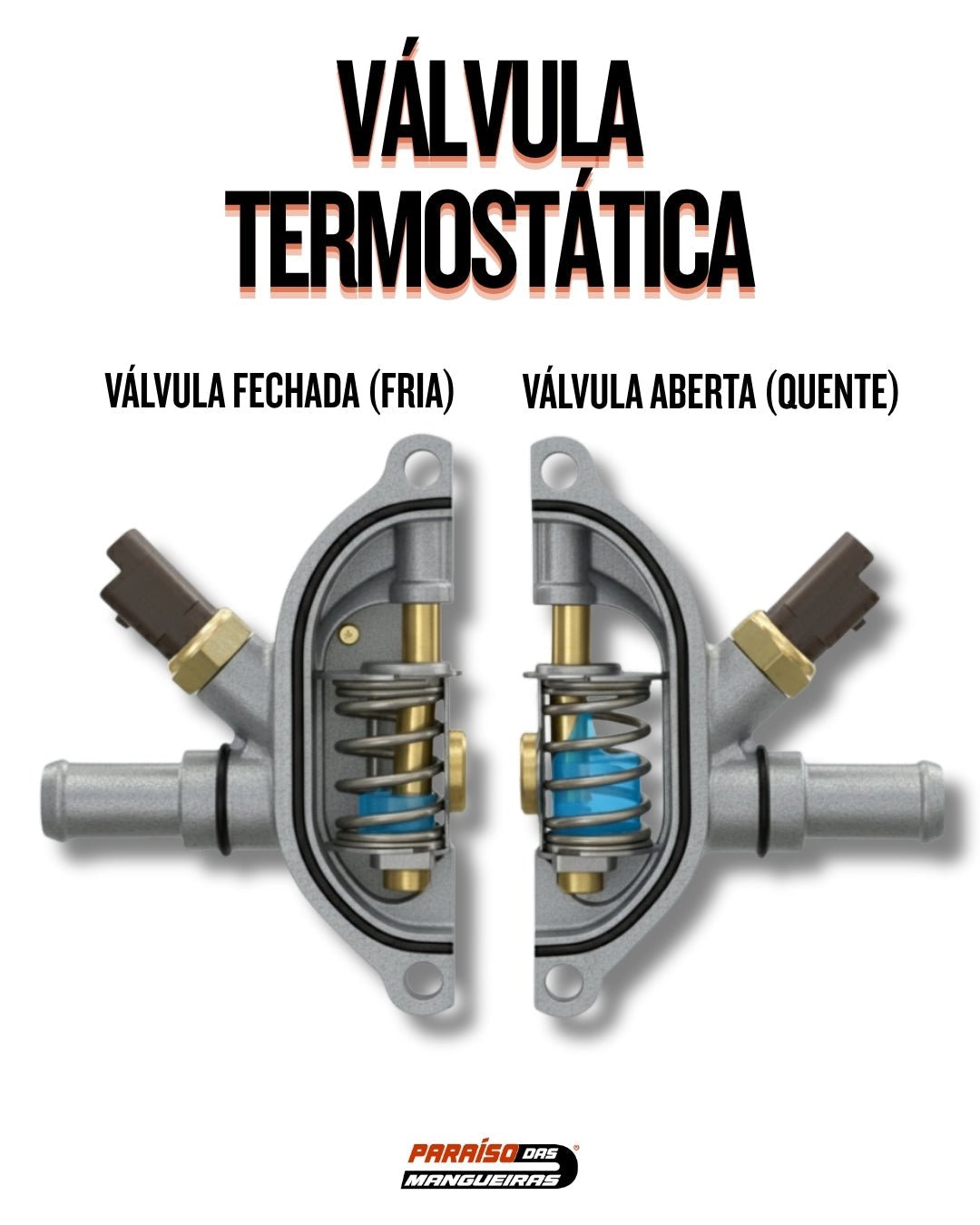 O que é a válvula termostática? - Paraiso das Mangueiras