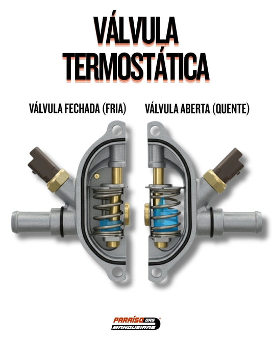 O que é a válvula termostática? - Paraiso das Mangueiras