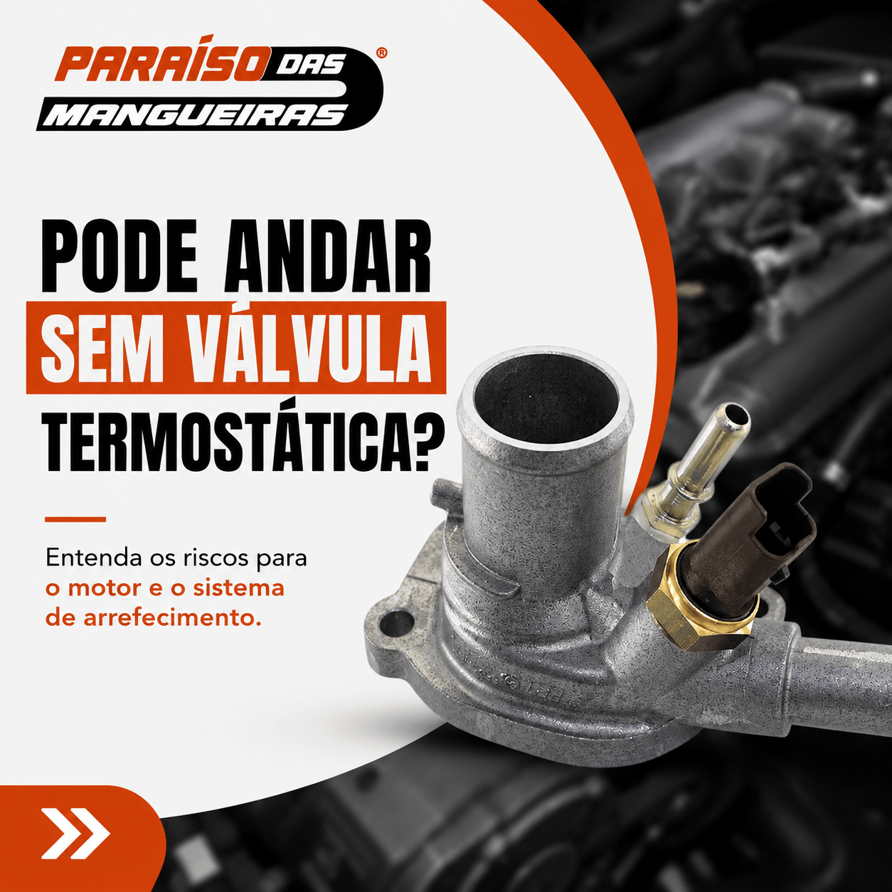 Pode Andar Sem Válvula Termostática? Descubra os Riscos - Paraiso das Mangueiras