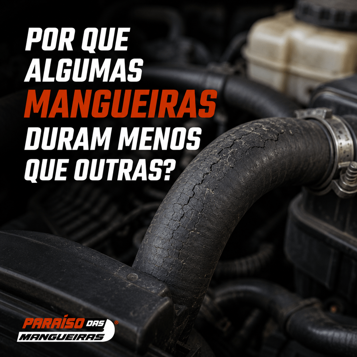 Por Que Algumas Mangueiras Duram Menos Que Outras? - Paraiso das Mangueiras