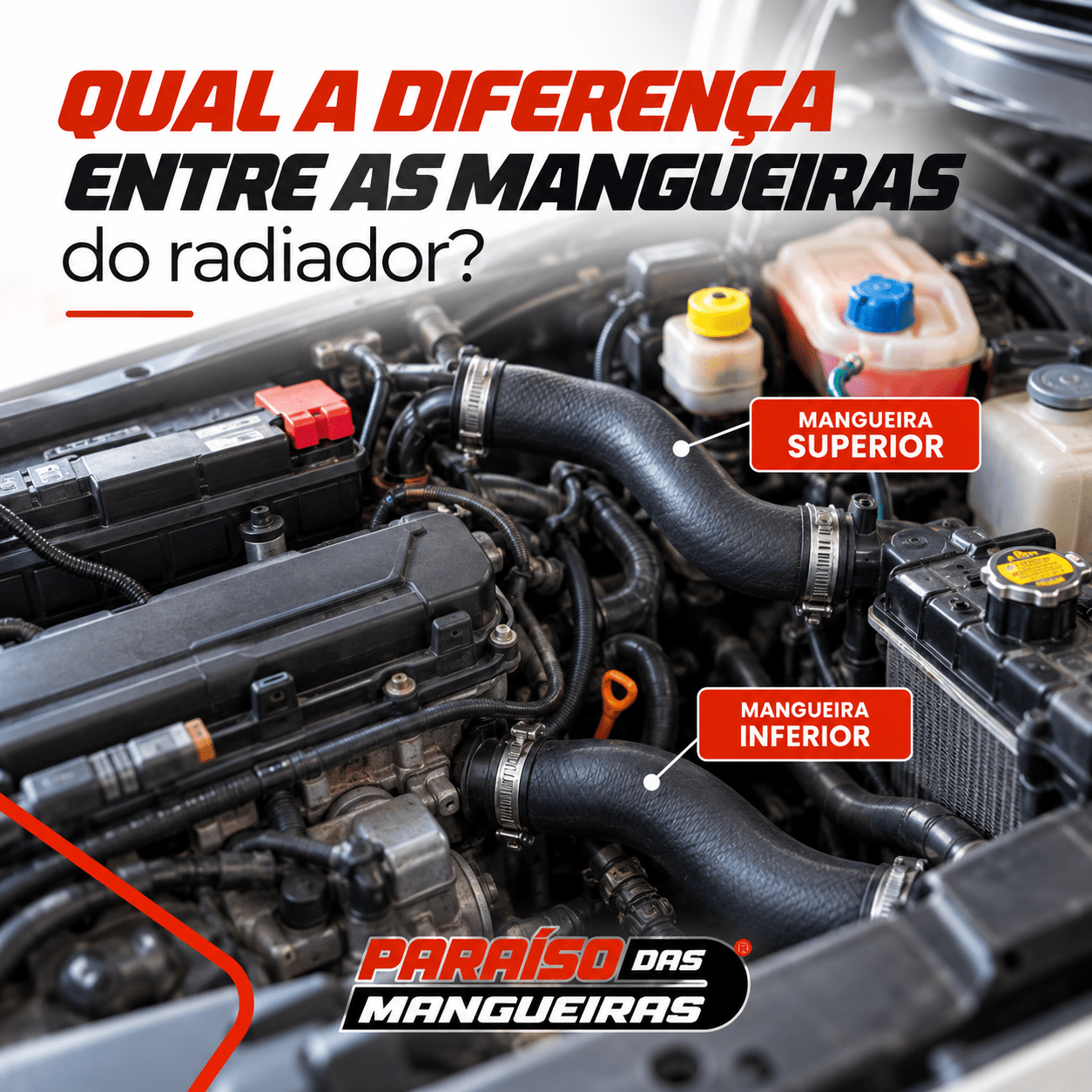 Qual a Diferença Entre as Mangueiras do Radiador? - Paraiso das Mangueiras