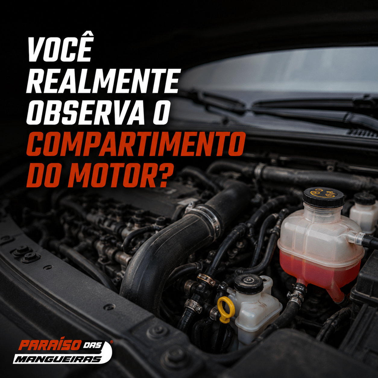 Você Realmente Observa o Compartimento do Motor? - Paraiso das Mangueiras