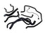 Kit Completo Peugeot 307 2.0 16v Automático 2008/2010 - Paraiso das Mangueiras