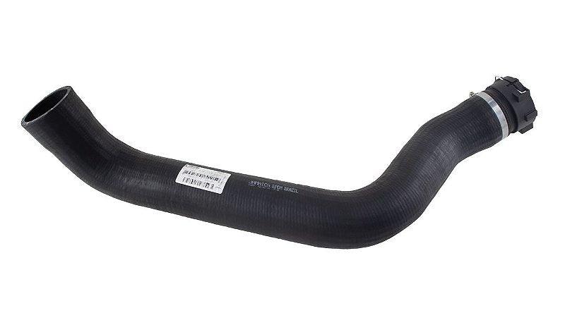 Mangueira Inferior Radiador Strallis 380 420 504011594 - Paraiso das Mangueiras