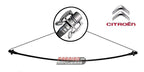 Mangueira Retorno Radiador Citroen Xsara Picasso 1.6 2.0 16V - Paraiso das Mangueiras