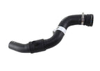 Mangueira Superior Radiador Pulse 1.3 Cvt 52160742 - Paraiso das Mangueiras