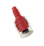 Quick Conector Reto Universal - Paraiso das Mangueiras
